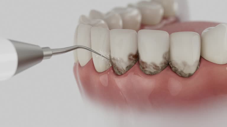 Reliable Dental contractor in Forestville, MD by Dentist Open Now
